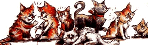 Picture of herding cats.